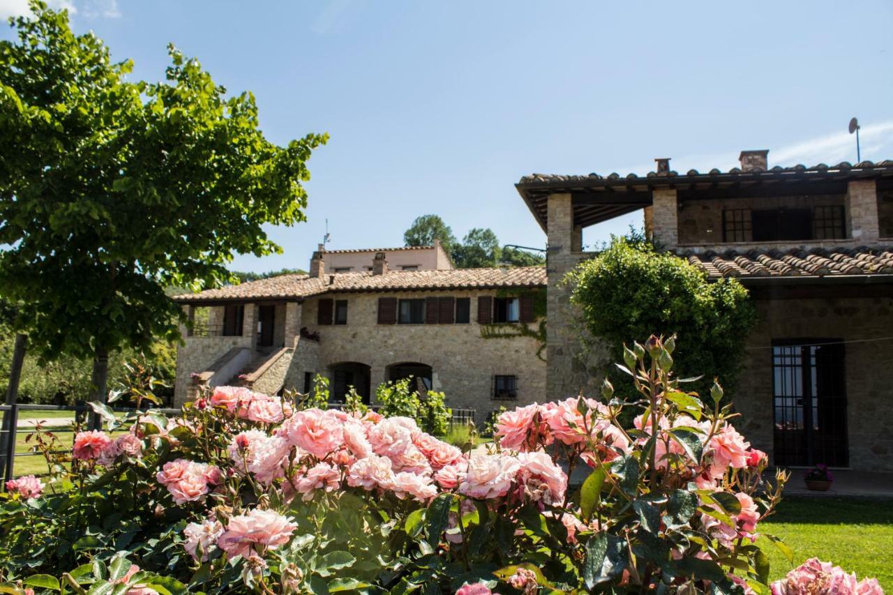 Agriturismo Poggio Del Bolognino Lugnano in Teverina Exterior photo